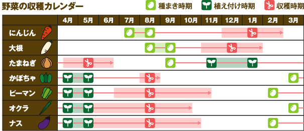 野菜の収穫カレンダー