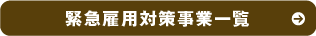 緊急雇用対策事業一覧