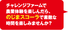 チャレンジファームで農業体験を楽しんだら、のじまスコーラで素敵な時間を楽しみませんか？