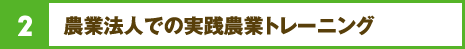 2.農業法人での実践農業トレーニング