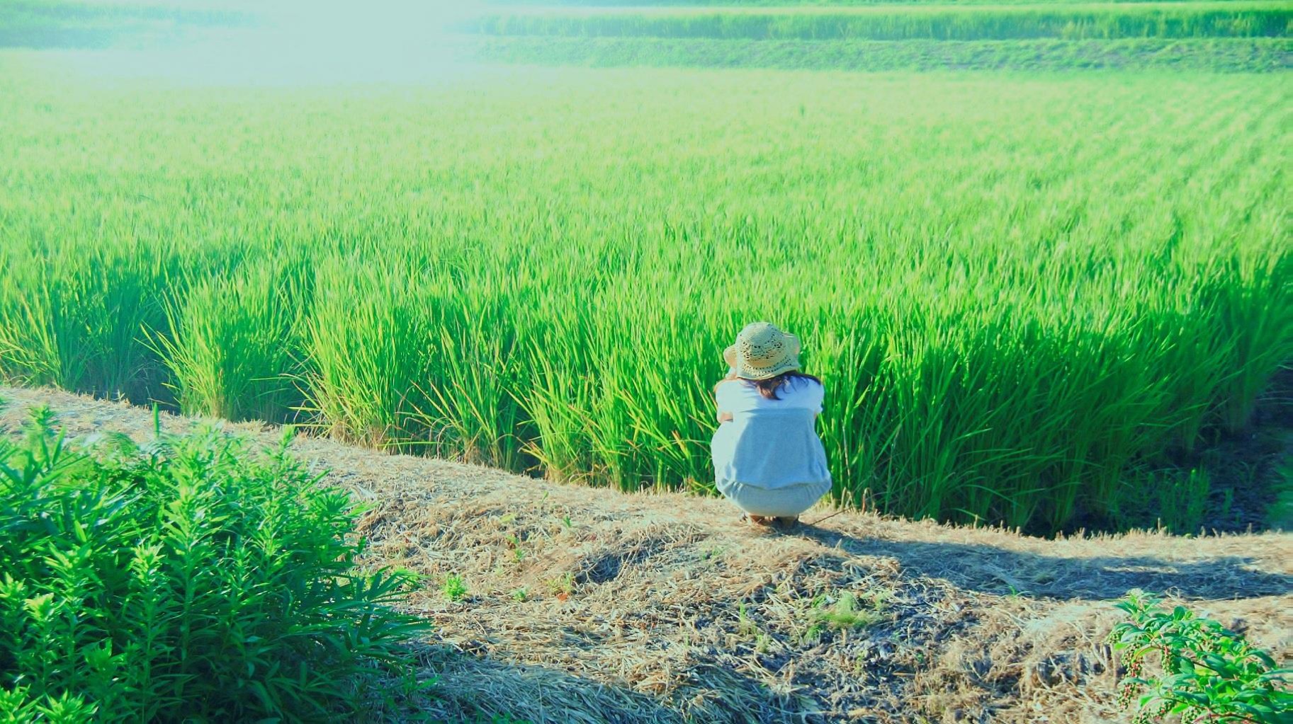 神戸おうご町.jpg