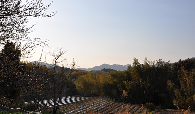 香川三豊地区